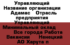 Управляющий › Название организации ­ Адамас › Отрасль предприятия ­ Управляющий › Минимальный оклад ­ 40 000 - Все города Работа » Вакансии   . Ненецкий АО,Харута п.